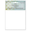 Ranger Ink - Wendy Vecchi - Perfect Cardstock - White Panels - 10 Pack