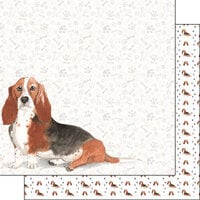 Scrapbook Customs - 12 x 12 Double Sided Paper - Basset Hound Watercolor