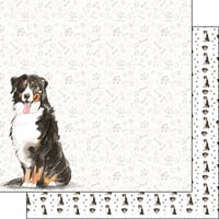 Scrapbook Customs - 12 x 12 Double Sided Paper - Bernese Mountain Dog Watercolor