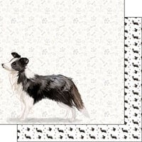 Scrapbook Customs - 12 x 12 Double Sided Paper - Border Collie Watercolor