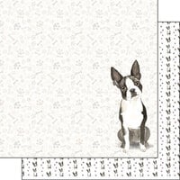 Scrapbook Customs - 12 x 12 Double Sided Paper - Boston Terrier Watercolor