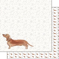 Scrapbook Customs - 12 x 12 Double Sided Paper - Dachshund Tan Watercolor