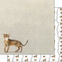 Scrapbook Customs - 12 x 12 Double Sided Paper - Abyssinian Watercolor