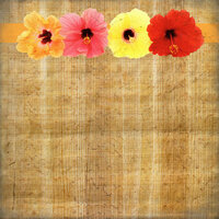 Scrapbook Customs - United States Collection - 12 x 12 Single Sided Paper - Hibiscus Floral Border
