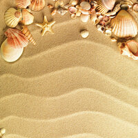 Scrapbook Customs - Travel Collection - 12 x 12 Single Sided Paper - Sea Shells and Sand