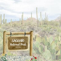 Scrapbook Customs - United States National Parks Collection - 12 x 12 Double Sided Paper - Saguaro Watercolor
