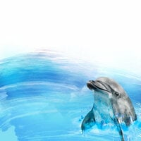 Scrapbook Customs - Magical Collection - 12 x 12 Double Sided Paper - Dolphin Encounter