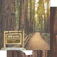 Scrapbook Customs - America the Beautiful Collection - 12 x 12 Double Sided Paper - Muir Woods National Monument