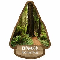 Scrapbook Customs - United States National Parks Collection - Laser Cuts - Watercolor - Redwood National Park