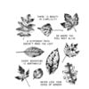 Stampers Anonymous - Tim Holtz - Cling Mounted Rubber Stamp Set - Nature's Wonder