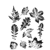 Stampers Anonymous - Tim Holtz - Cling Mounted Rubber Stamp Set - Leaf Prints - Set 02
