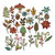 Sizzix - Tim Holtz - Alterations Collection - Thinlits Dies - Funky Festive and Funky Foliage Bundle
