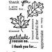Technique Tuesday - Clear Acrylic Stamps - I Give Thanks