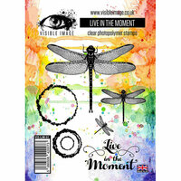 Visible Image - Clear Acrylic Stamps - Live In The Moment