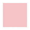 We R Memory Keepers - Baby Mine Collection - 12 x 12 Textured Cardstock - Light Pink