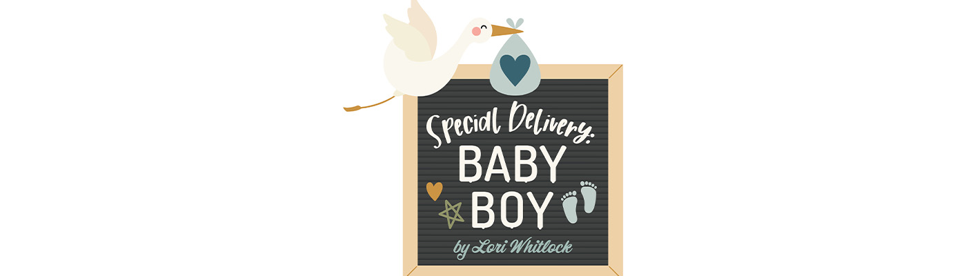 Echo Park Special Delivery Baby Boy